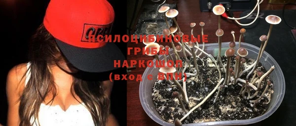 Альфа ПВП Армянск