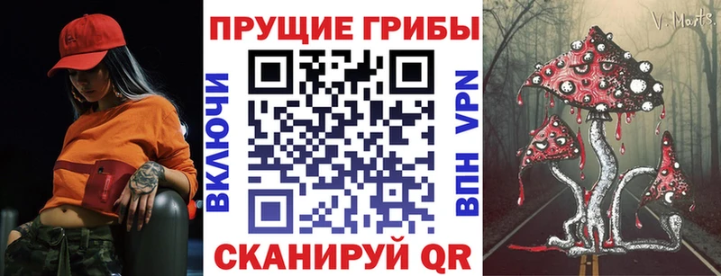 купить закладку Суровикино Галлюциногенные грибы прущие грибы