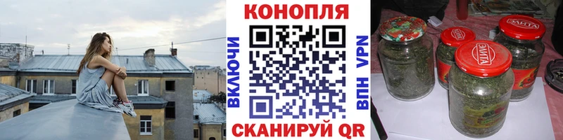 цены наркотик  Суровикино  OMG как войти  Бошки Шишки VHQ 